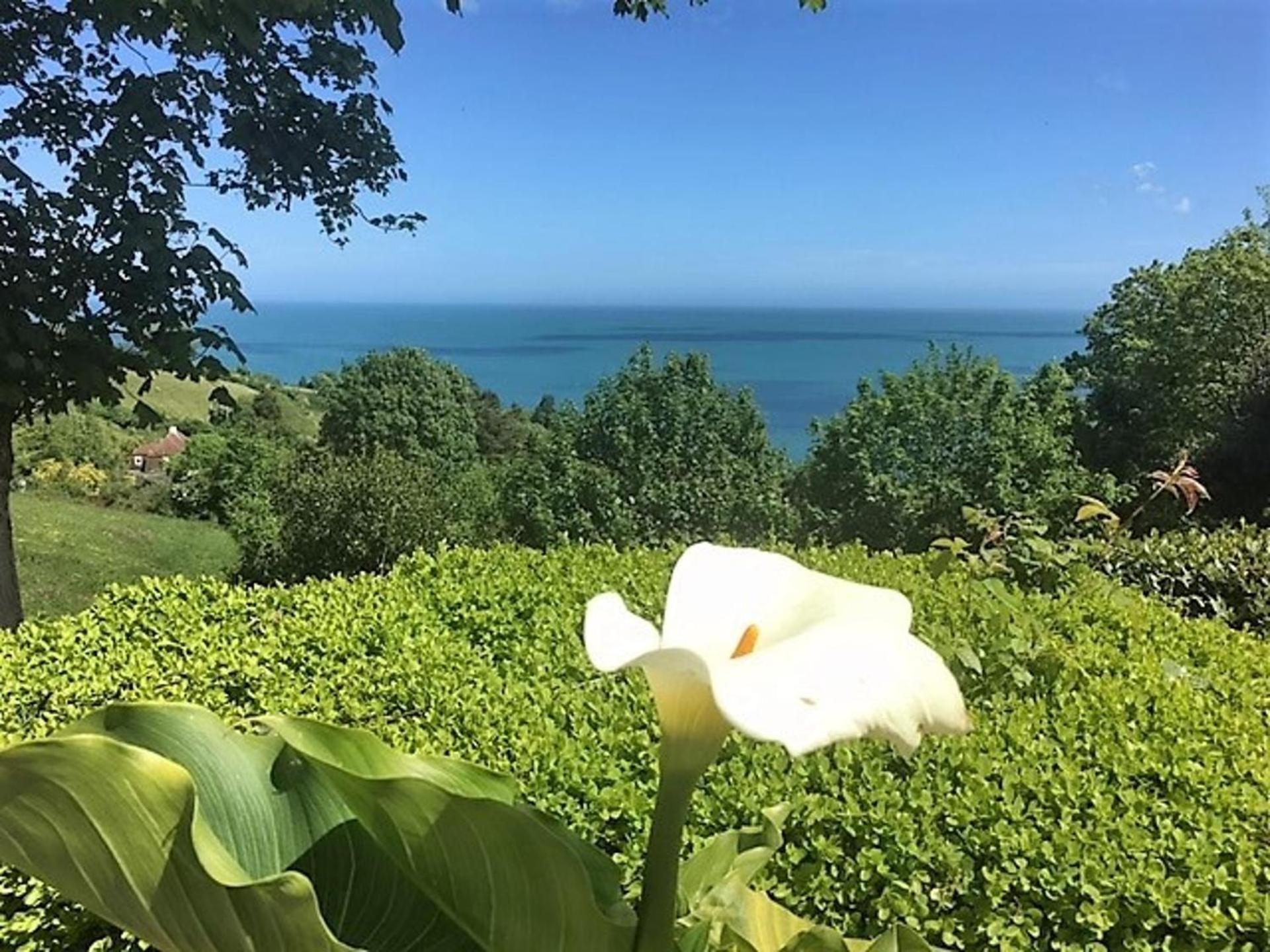 Seaside Serenity In Maidencombe Apartment